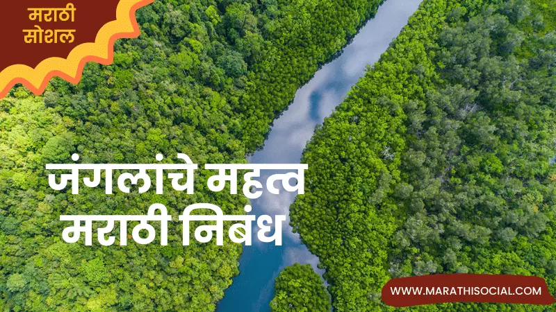 essay on jungle importance in marathi